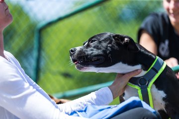 Bild 78 - BL Der Club an der Alster - Marienburger SC : Ergebnis: 3:6